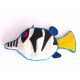 Coussin Poisson Sharpnosed Puffer