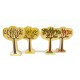 Pack Arbres des 4 saisons